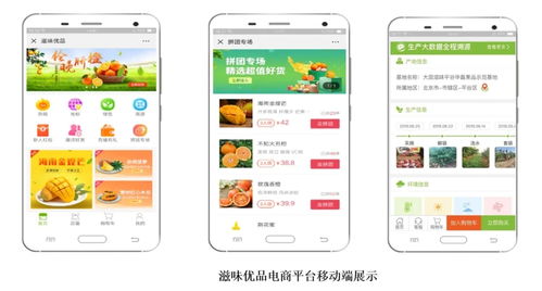 智慧農(nóng)業(yè)新篇章 1.28億元數(shù)字化服務(wù)，守護農(nóng)產(chǎn)品安全生命線